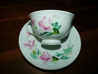 Rosenthal Germany Tea Cup/ Saucer Set Wildflowers Morning Glory