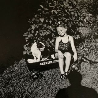 Vintage B&w Photograph Snapshot Little Girl Boston Terrier Dog Red Arrow Wagon