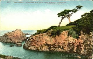 Monterey,  Ca The Ostrich Mitchell California Antique Postcard Vintage Post Card