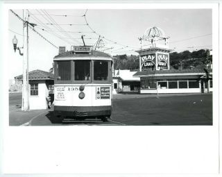 C.  1950 San Francisco Streetcar & Playland Amusement Park Glossy 8x10 Photo Print