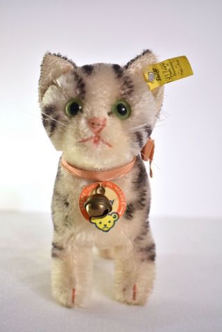 Vintage Steiff Tabby Cat Kitten Mohair 1317,  00 All Id 1960s 6 1/2 "