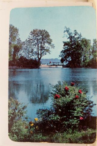Pennsylvania Pa Erie Presque Isle State Park Rustic Bridge Postcard Old Vintage