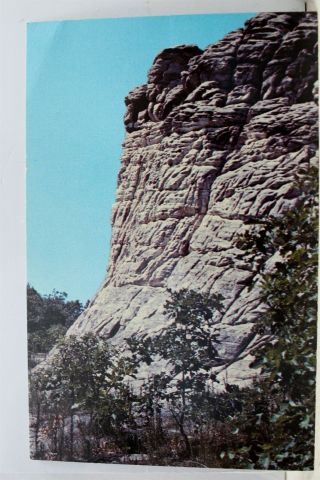 Illinois Il Oregon Pine Rock Preserve Postcard Old Vintage Card View Standard Pc