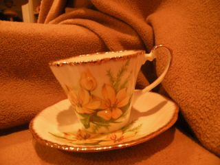 Salisbury Jon Roth Yellow Water Lilies Cup & Saucer