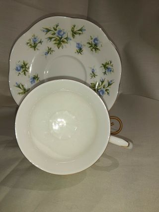 Vintage Fine Bone China Royal Canterbury Tea Cup And Saucer 2