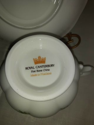 Vintage Fine Bone China Royal Canterbury Tea Cup And Saucer 3