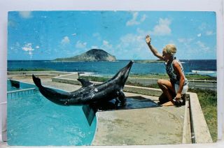 Hawaii Hi Sea Life Park Porpoise Keiki Postcard Old Vintage Card View Standard