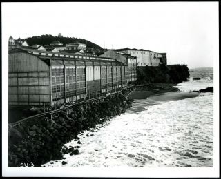 1910s San Francisco View Of Sutro Baths,  Cliff House&sutro Hgts.  8x10 Photo Print