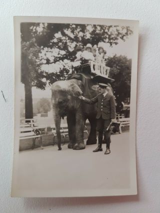 Very Rare Antique Photograph Of Rosalyn? The Elephant Bristol Zoo