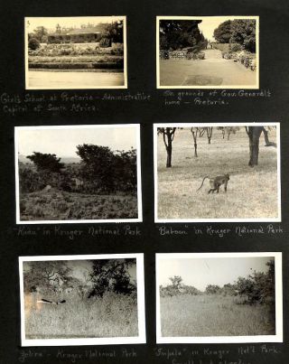 S.  S.  Carinthia Ship Cruise 14 Photographs Kruger National Park South Africa 1939