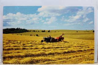 Canada Prince Edward Island Glasgow Harvesting Wheat Postcard Old Vintage Pc