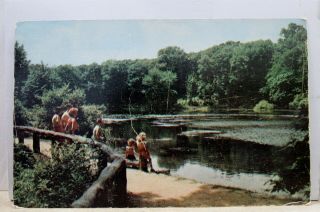 Ohio Oh Youngstown Millcreek Park Lily Pond Postcard Old Vintage Card View Post
