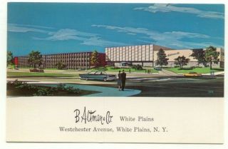 White Plains Ny B.  Altman & Co.  Department Store Vintage Postcard York