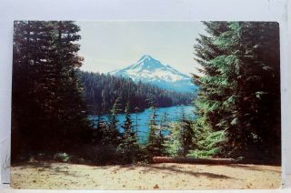 Oregon Or Lost Lake Viewpoint Mount Hood Postcard Old Vintage Card View Standard