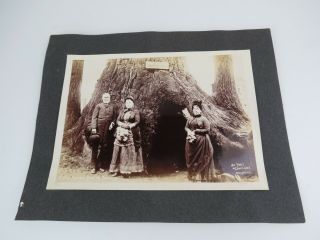 Civil War Union General John Charles Fremont 1880s Front Of Tree Aydelotte Photo