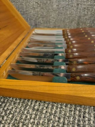 Vintage Cutco Set Of 12 Steak Knives