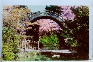 California Ca San Francisco Japanese Tea Garden Moon Bridge Postcard Old Vintage