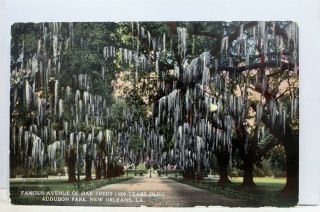 Louisiana La Orleans Audubon Park Oak Trees Avenue Postcard Old Vintage Card