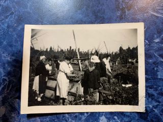 Vintage 1920’s Photo Women Children Picking/harvesting Beer Hops Upstate N Y
