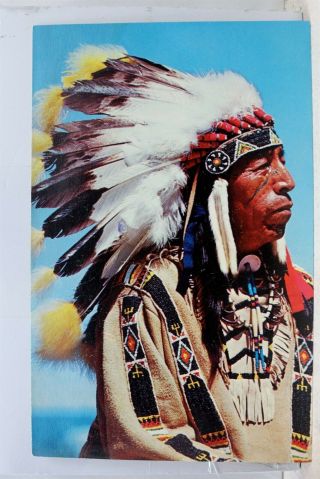 Indian Native American Black Elk Sioux Warrior Postcard Old Vintage Card View Pc