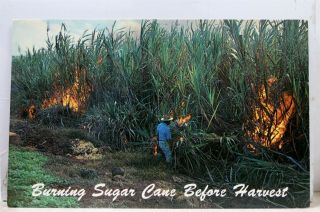 Hawaii Hi Mainlanders Sugar Cane Fields Burning Postcard Old Vintage Card View