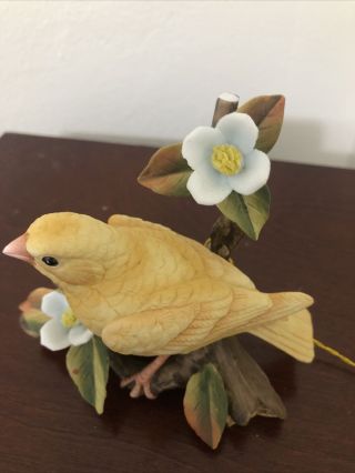 Vintage Lefton Yellow Bird Standing On Cherry Branch Figurine 4.  75in