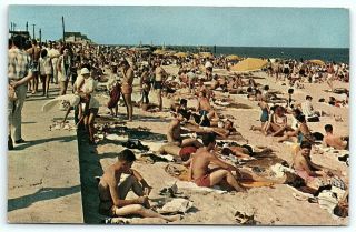 Vtg Postcard Buckroe Beach Va Virginia Bathing Suit Sand Men Women Girl Boy A3