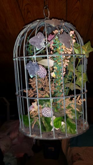 Large Round Metal Bird Cage With Plants On The Inside - 15 " X 10 "
