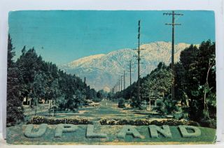 California Ca Upland Ontario Euclid Ave Mountain Range Postcard Old Vintage Card