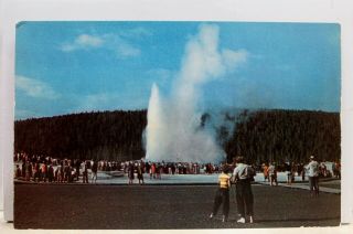 Yellowstone National Park Wyoming Wy Old Faithful Geyser Postcard Old Vintage Pc