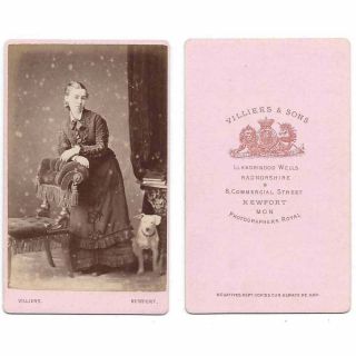 Cdv Photo Young Lady With Pet Dog Carte De Visite By Villiers Of Newport,  Mon
