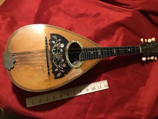 Vintage Vega Co.  Mandolin 8 Strings,  Dusty But Complete,  Ask Any Questions