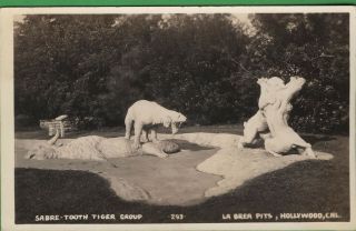 Vintage Photo Rppc California Ca Postcard Sabre Tooth Tiger La Brea Tar Pits