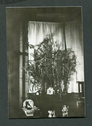 Unusual Vintage Photo Dark Christmas Tree W/ Night Tinsel By Window 426094