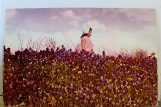 Texas Tx Blue Bonnets State Flower Postcard Old Vintage Card View Standard Post