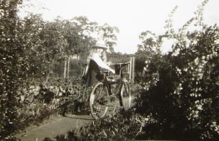 Small Vintage Photo Of Pretty Girl Walking Her Bicycle Down The Garden Path