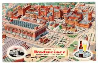 Vintage Advertising Postcard,  Home Of Budweiser Beer,  Anheuser - Busch.  St.  Louis,  Mo.