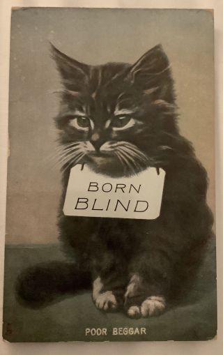 Born Blind Vintage Cat Kitten Postcard Poor Beggar Raphael Tuck Series 8091