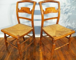 Pair Antique Tiger Maple Federal Period Chairs W Cane Seats Hitchcock Type Curly