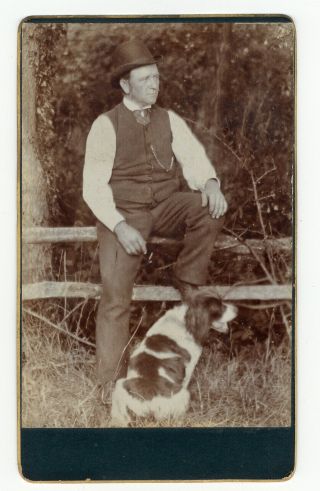 Antique Cdv Photo Man With Bowler Hat Sat On Fence English Springer Spaniel Dog