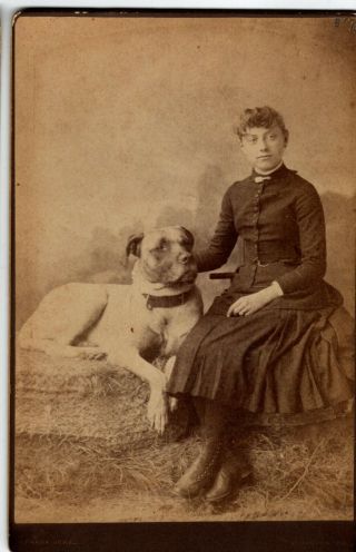 Antique Cabinet Card Photo Of Girl And Her Huge Dog,  Plus Early Photo Of Dog