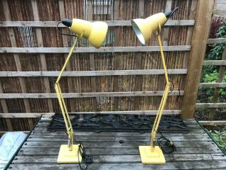 Vintage Yellow Herbert Terry 1227 Anglepoise Two Step Base Desk Lamps