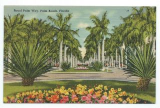 Vintage Postcard Palm Beach,  Florida Royal Palm Way Linen Never Mailed