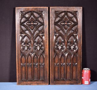 French Antique Gothic Revival Panels In Oak Wood Salvage