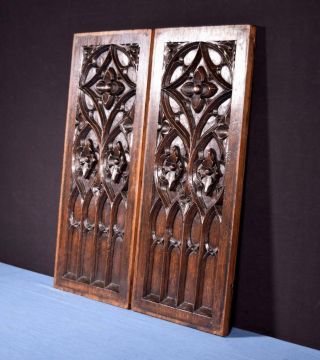 French Antique Gothic Revival Panels in Oak Wood Salvage 2