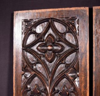 French Antique Gothic Revival Panels in Oak Wood Salvage 6