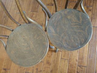Set of 4 Josef Hoffmann THONET Antique Bentwood Cane Chairs 1920 ' s 4