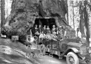 Logging Camp Photo Drive Thru Giant California Sequoia Redwood Log 1916