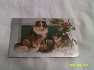 Vtg.  Post Card " A Joyful Christmas " With Collie/sheltie Dogs & Pups