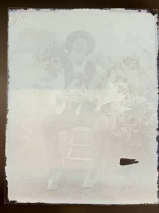 Antique Glass Plate Negative 3x4.  Old Man And His Dogs.  Some Flaking